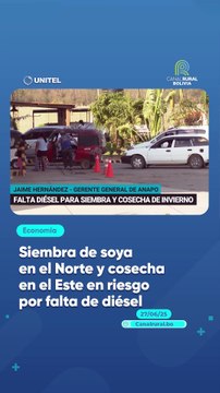Siembra de soya en el Norte y cosecha en el Este en riesgo por falta de diésel
