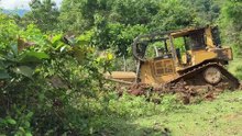 Strategy to Improve Plantation Roads with D6R XL Bulldozer