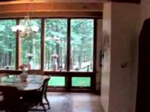 New Boston, New Hampshire (NH) real estate