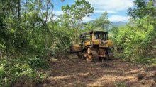 The Advantages of the D6R XL Bulldozer in Clearing Forests