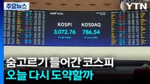 3000선으로 후퇴한 코스피, 오늘 다시 도약하나 / YTN