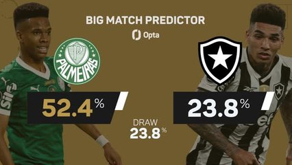 Palmeiras v Botafogo - Big Match Predictor