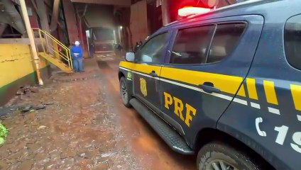 PRF encontra 17,2 toneladas de maconha escondidas em carga de milho na BR-163
