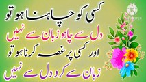 Zuban Se Nahi Kisi Ko Chaho to Dil Se💥! Best Urdu quotes🔥! Urdu Islamic quotes🔥! ISLAMIC URDU MEWAT