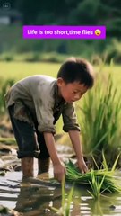 Life Is Too Short… Time Flies So Fast ⏳💨 Shorts