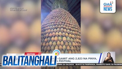 Giant pinya na binuo gamit ang 2,823 na pinya, tampok sa 10th Pinya Festival | Balitanghali
