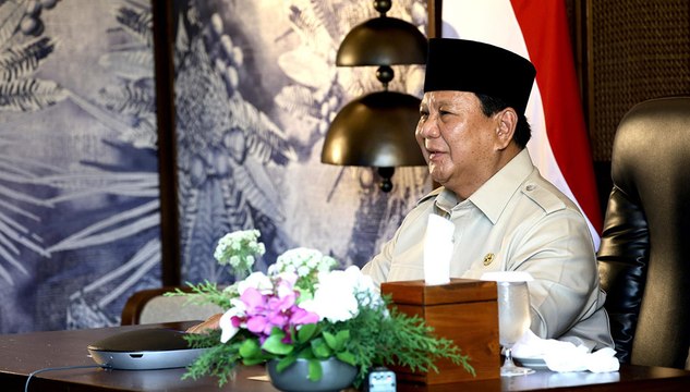 Prabowo: Energi Tenaga Surya Penting untuk Swasembada Energi di Desa