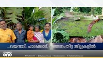 വെറ്റിലപ്പാറയിൽ വീട് തകർന്നു...വീട്ടിലുണ്ടായിരുന്ന രണ്ട് പേർക്ക് പരിക്ക്