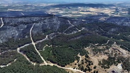İzmir'de yanan orman alanı havadan görüntülendi
