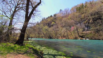 角田真弘　Missouri Current River With Trees On Bank At Big Spring