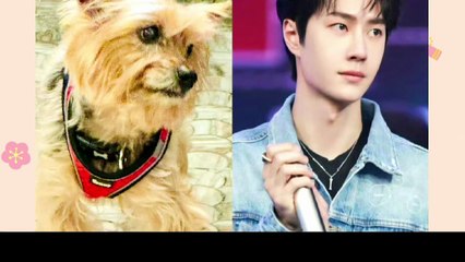 Their “Chance Meeting” Was All a Setup! See How Xiao Zhan × Wang Yibo Strategically Spread the Sweetness💕