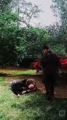 My Mother Save Me (1) 📺Short Drama FULL | English Sub