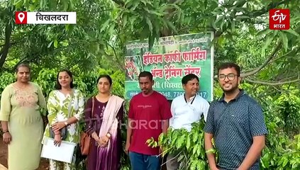 कॉफी देणार रोजगार आणि सौंदर्य ; मेळघाटातील आमझरीचा 'कॉफी मळा' रोजगार फुलवणार, 5 हजार नव्या रोपांची लागवड