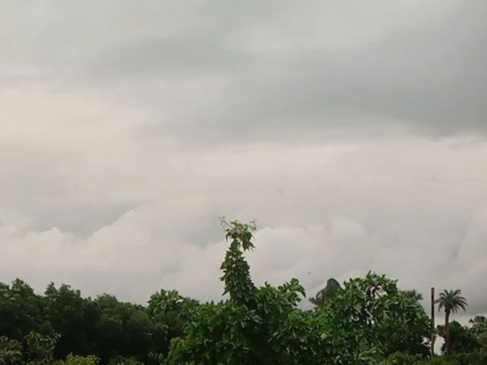 nature sound ...