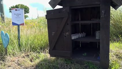 Pembrokeshire small-holding owner speaks of 'devastation' over bird flu outbreak