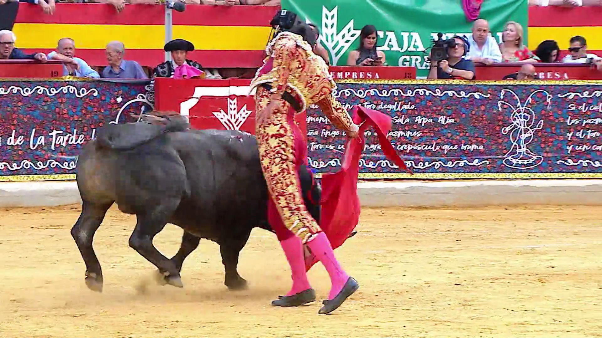 Festejos de León, Soria, Ledesma, Nava del Rey, Alicante, Toledo, Granada y Badajoz. También lo mejor de Torrejón, Madrid, Copa Chenel, las francesas Saint Sever y Mauguio, Sevilla, Rozas de Puerto Real y el circuito de Extremadura