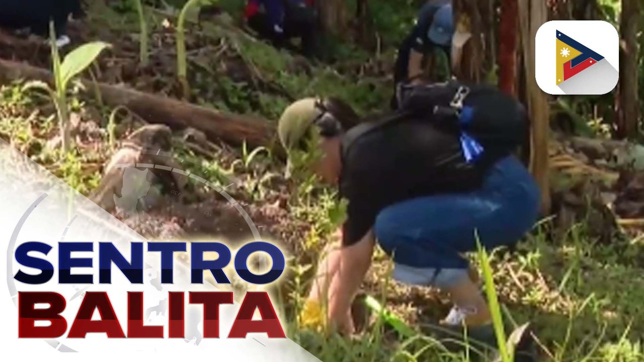 PCO, pinangunahan ang pagtatanim ng puno at pagpulot ng mga basura sa San Jose del Monte City, Bulacan; Publiko, pinaalalahanan na pangalagaan ang kalikasan