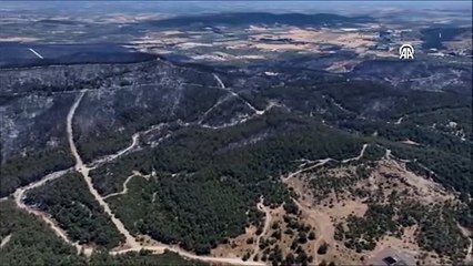 İzmir Aliağa'da çıkan yangınlar sonrası yanan alanlar böyle görüntülendi