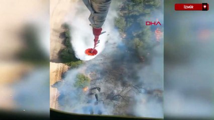 İzmir Aliağa'da orman yangını
