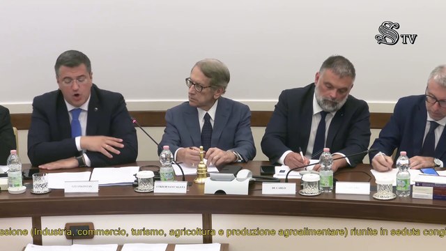 Roma - Audizione - Commissario europeo per i trasporti e il turismo sostenibili, Apostolos Tzitzikōstas (26.06.25)