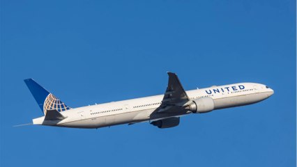 FEMME ACTUELLE - Une attaque "monstrueuse" : dans un aéroport, un homme s'en prend à un enfant de deux ans en le jetant violemment au sol, le laissant pour mort