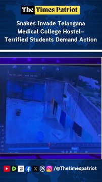 Snakes Invade Telangana Medical College Hostel—Terrified Students Demand Action as CCTV Footage Goes Viral!