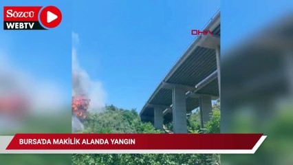 Bursa'da makilik alanda yangın