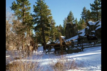 Bonanza 10x29-La valla-HD