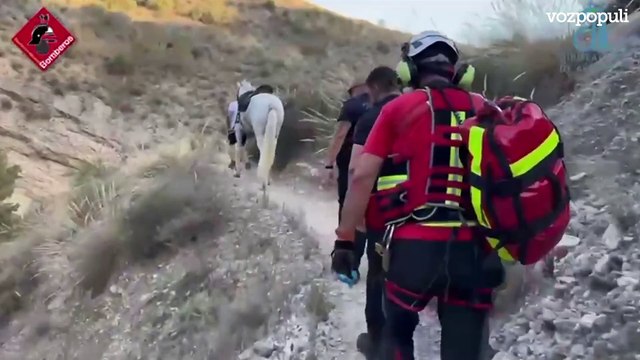 Bomberos rescatan a un caballo atrapado cuando cruzaba un barranco en Albatera (Alicante)