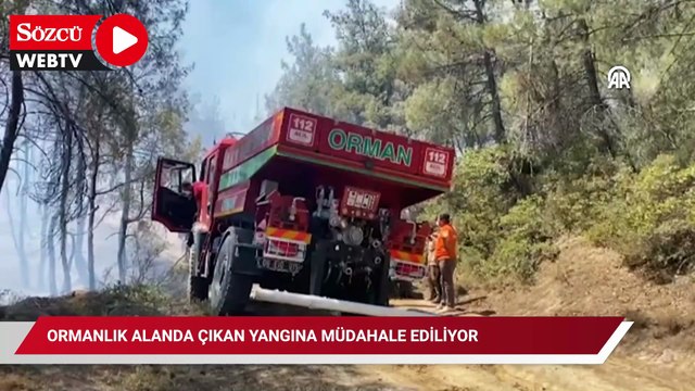 Sakarya'da ormanlık alanda çıkan yangına müdahale ediliyor