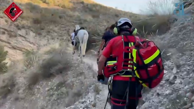 Bomberos rescatan a un caballo atrapado cuando cruzaba un barranco en Albatera, Alicante