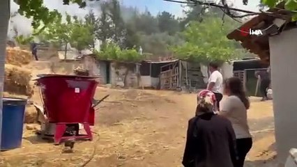 Bursa'da orman yangını yerleşim yerine sıçradı! Gözyaşlarına boğuldular