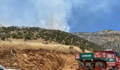 Kahramanmaraş’ta iki ilçede orman yangını