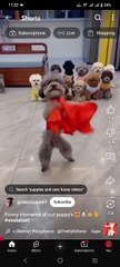 Cute Baby Dancing | Adorable Baby Dance Video#baby#dancing