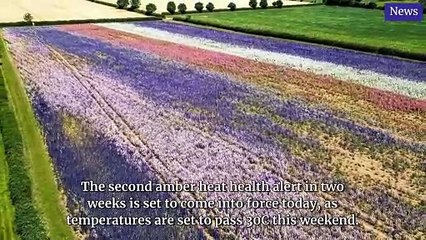 National World Top Stories Update 27 June, 2025