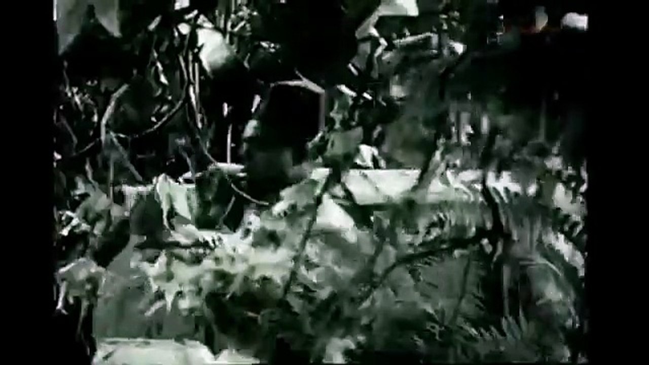 La Venganza de Tarzán PELÍCULA COMPLETA EN ESPAÑOL  Aventuras 1938 HD