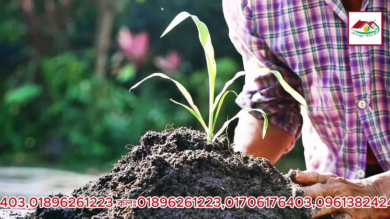 ✅ গাছের শিকড় দ্রুত বড় করার সেরা প্রাকৃতিক উপায় জানুন! | Gardening Tips in Bangla