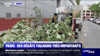 Orages: les élagueurs toujours très mobilisés en Île-de-France