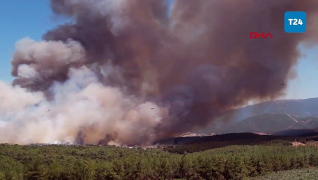 İzmir'de tarım arazisinde çıkan yangın ormana sıçradı; alevlere, havadan ve karadan müdahale ediliyor!