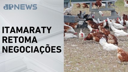 OMSA declara Brasil livre da gripe aviária