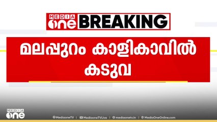 മലപ്പുറം കാളികാവിലെ  കടുവ ദൗത്യസംഘത്തിന് നേരെ പാഞ്ഞടുത്തു