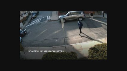 ¿Deberías Investigar en EE.UU. o Escapar de Trump? 🕵️‍♂️