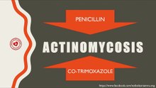 Treatment of actinomycosis