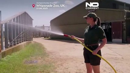 Grande-Bretagne : une chaleur extrême attendue à Wimbledon et à Glastonbury ce week-end