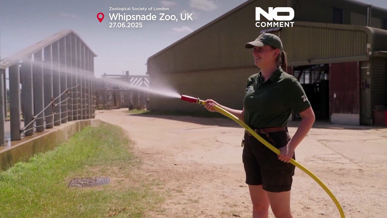 Extreme Hitze trifft Wimbledon und Glastonbury an diesem Wochenende