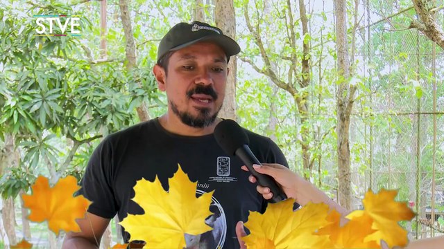 Día del Venado Cola Blanca