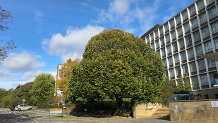 North East SEND is ‘on its knees’