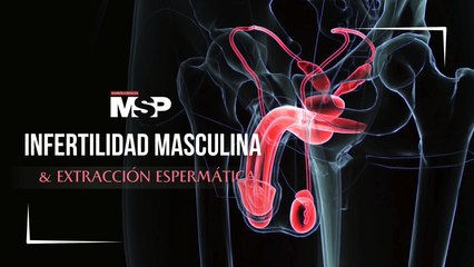 Infertilidad masculina y extracción espermáticaa