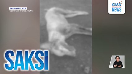 Saksi: (Part 1) Aso, nadamay sa pamamaril; Rollback sa presyo ng petrolyo; Credit scam