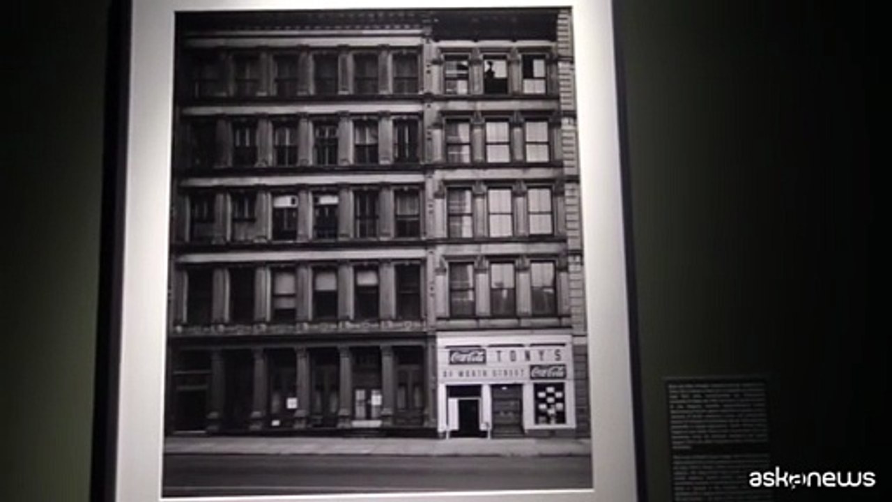 A Palazzo Bonaparte a Roma la mostra "Elliott Erwitt. Icons"